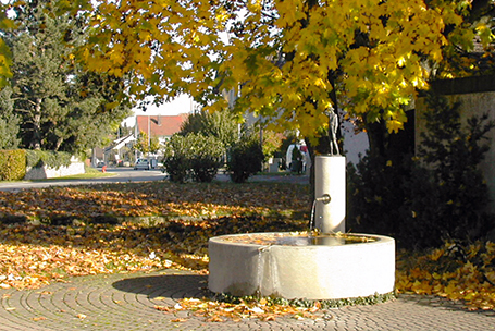 Brunnen Rigistrasse